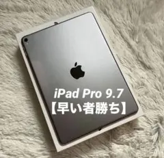 【早い者勝ち】iPad Pro 9.7 32GB 【すぐ発送】