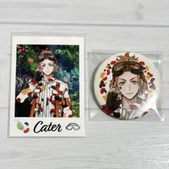 ツイステ展 ケイト ランダムカード コレクション 缶バッジ 2点セット