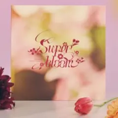 あんスタ スタフォニ パンフレット