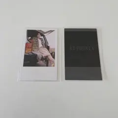 ALPHA DRIVE ONE STAR ROAD 封入 トレカ リオ