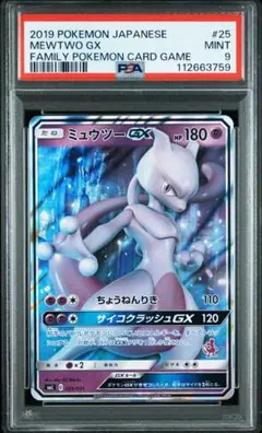 十*夜様 【特別オークション！】ミュウツーGX Cレギュ希少個体　025/051