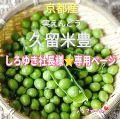 ◎しろゆき社長様⭐️専用ページです♪