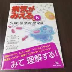 病気がみえる vol.6 (免疫・膠原病・感染症)