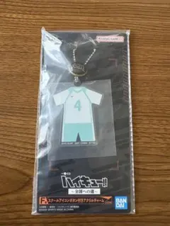 ハイキュー 一番くじ スクールアイコンボタン付きアクリルチャーム 一番くじ ハイキュー スクールアイコンボタン付きアクリル