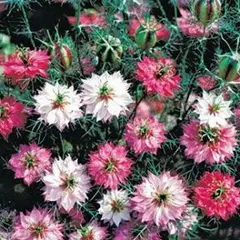 まりもこ　※プロフ必読お願いします様 リクエスト 3点 まとめ商品