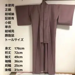 未使用 小紋 単衣　正絹 2025年最新】Yahoo!オークション -単衣 小紋の中古品・新品・未