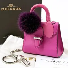 2026年最新】DELVAUX レディース チャームの人気アイテム - メルカリ