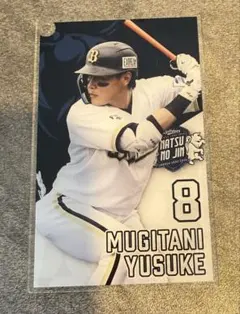 オリックスバファローズ　麦谷選手　アクリルカード　コロチャレ