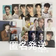 ディノ　トレカ　まとめ売り　15点