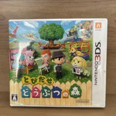 とびだせどうぶつの森 ソフトパッケージ説明書付き