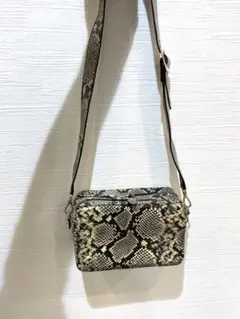 美品✨️コーチ 2way ショルダーバッグ チェーン ハットン パイソン 