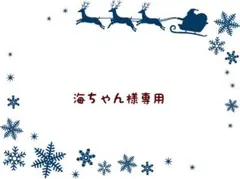 海ちゃん様 リクエスト 2点 まとめ商品