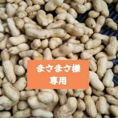 まさまさ様専用