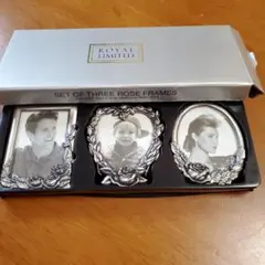 値下げ　1995 ロイヤル限定ミニローズフレームスタイル セット