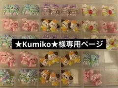 ★Kumiko★様専用ページ