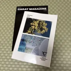 CARAT MAGAZINE vol. 12 & 13 セット