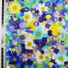 押し花素材　NO988 ノースボール ビオラ 紫陽花　バーベナ 小花　押し花