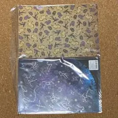 ポケモンセンター　クリアファイル2枚セットLook Upon the Stars