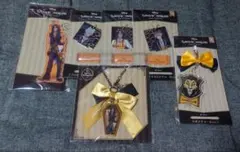 【処分品】ツイステ アクキー アクスタ サバナクロー寮