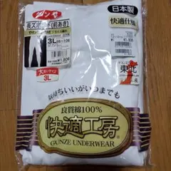 Item thumbnail for item 0ea3ba1d-6e9f-4628-a7d0-d2d945edba6e