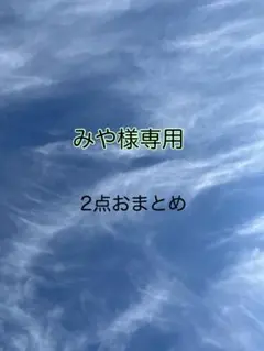 みや様 リクエスト 2点 まとめ商品
