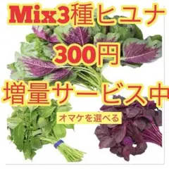 ありがとう!泣様 リクエスト 5点 まとめ商品