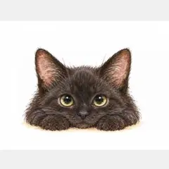 ちょこんとかわいい黒猫さん♡オリジナルイラスト