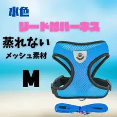 Item thumbnail for item e4b030b5-52dd-48a8-9f97-d00f1c913a1a