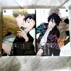 キューピッドに落雷・キュービッドに落雷追撃二冊