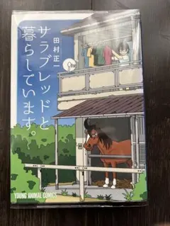 サラブレッドと暮らしています。