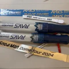 銀テ付き‼️SnowMan ペンライト　RAYS