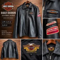 2026年最新】Harley-Davidson メンズ シングルライダースの人気