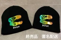 【匿名配送／お試しのみ】H&M 恐竜デザイン ニット帽 2個セット　ダイナソー