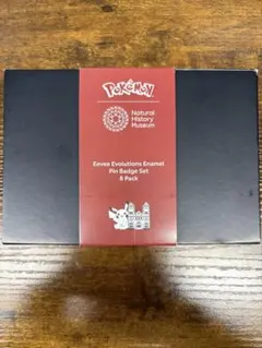 美品】 ポケモン ロンドン自然史博物館 ピンバッジセット イーブイ