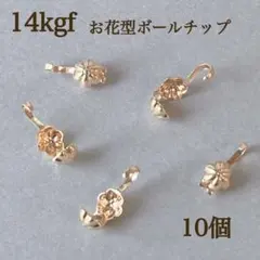 Item thumbnail for item 15d4ca1f-8b60-4f8f-932c-70f5abc95318