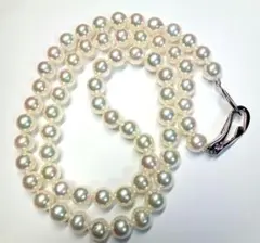 Item thumbnail for item 2d793951-4e07-458e-9885-224963175bb5