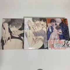 【値下げ】 BL漫画 セット 虎に四目屋 キスで溶かしたその後に