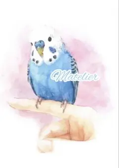 水彩画　原画　セキセイインコの絵　癒し　鳥の絵　インコ