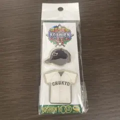 2026年最新】高校野球 ピンバッジの人気アイテム - メルカリ
