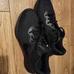 ナイキ「レボリューション 6 ネクスト ネイチャー 」25