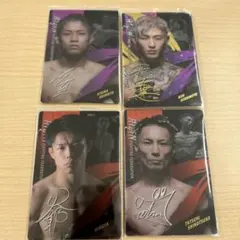 ⚫︎2枚⚫︎ RIZIN ヒロヤ 秋元強真 サイン入り クリアファイル