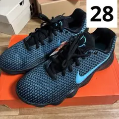 2025年最新】hyperdunk 2017 lowの人気アイテム - メルカリ