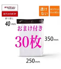 おまけ付き 即日発送 宅配ビニール袋 A4サイズ25×35×4・お試し30枚④