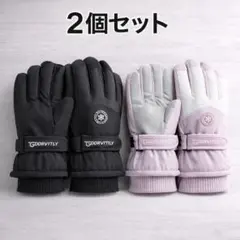 スノーグローブ スキー スノーボード レディース メンズ 2個セット 手袋 防水