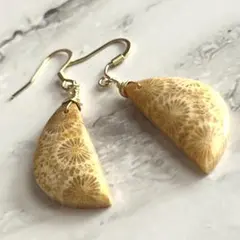 フォッシルコーラル　天然石　ハンドメイド　ピアス　サージカルステンレス　シンプル