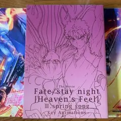 Fate Heaven's Feel Spring Song 原画集 - メルカリ