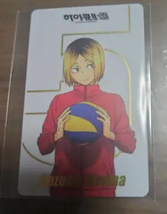 ハイキュー 韓国 10周年 記念展 ラキドロ カード 孤爪研磨