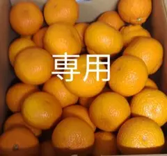 ムコちゃん　タケちゃん様専用ページです。