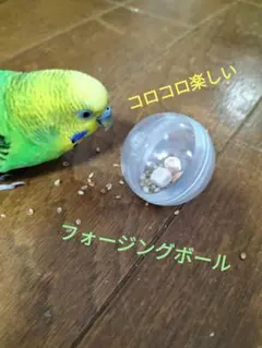 Item thumbnail for item 106565fd-a474-4bf2-a192-5eecdeff7cf7