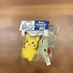 当時物　ピカチュウのドキドキかくれんぼ　ポケモンなかよしキーチェーン　ヨーギラスのサムネイル